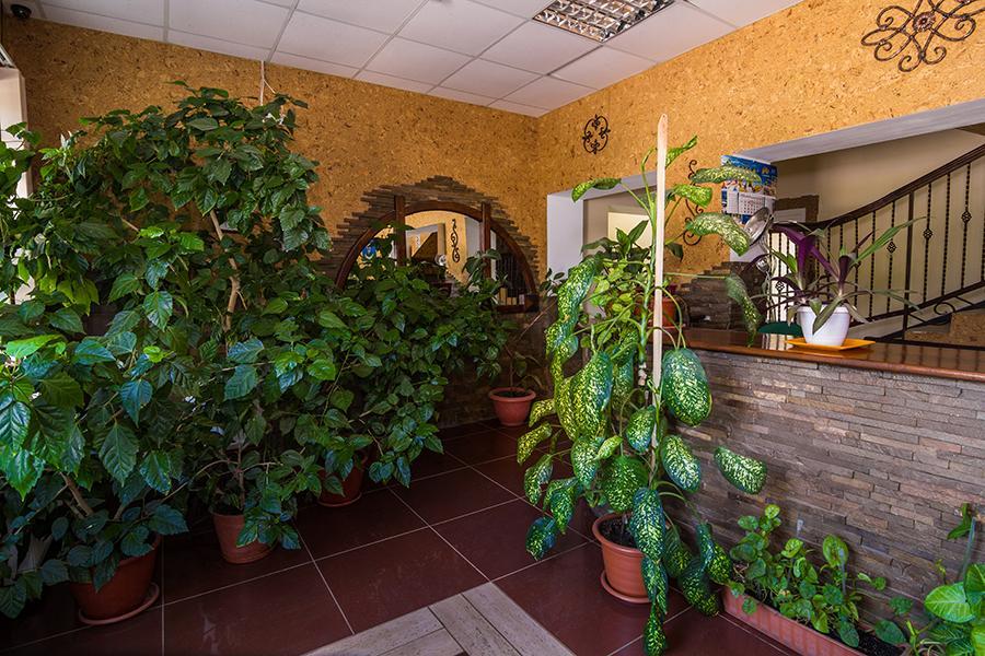 Citadella Otel Skadovsʼk Dış mekan fotoğraf